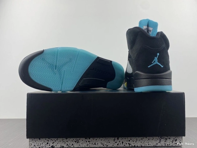 Kick Theory Aqua Air 5 Jordan DD0587-047 0816